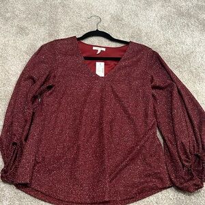 NWT women’s Maurices shimmery long sleeve Top